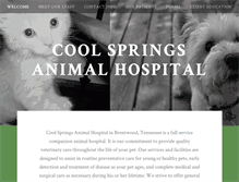 Tablet Screenshot of coolspringsah.com
